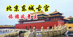 操美女花B视频中国北京-东城古宫旅游风景区